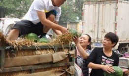 大城县吃瓜最新事件爆料,揭秘背后惊人真相