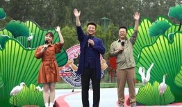 石明卖货爆料视频最新,揭秘网红带货背后的真相与技巧