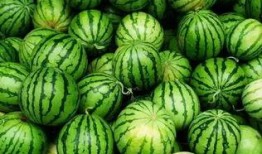 有什么免费吃瓜的群,畅享娱乐盛宴，轻松加入共享欢乐